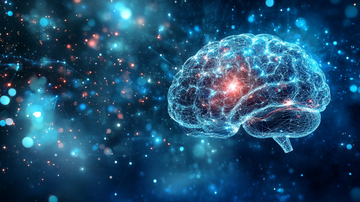 Global Smart Display Technology Developments: The Shift to 4K and AI Integration